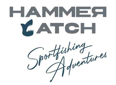 HammerCatch logo